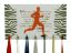 Picture of  Zebra Medal Hanger - White